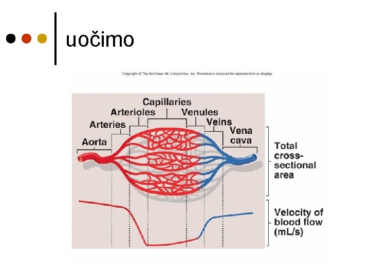 uočimo 