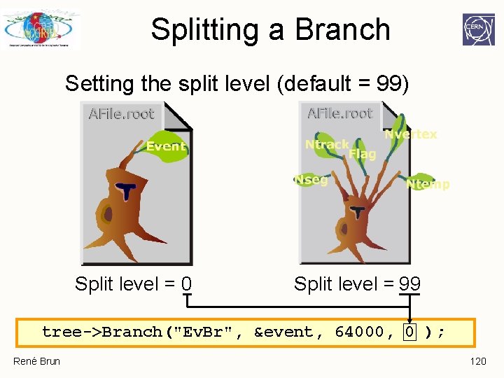 Splitting a Branch Setting the split level (default = 99) Split level = 0 Splitting a Branch Setting the split level (default = 99) Split level = 0