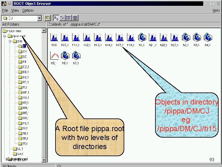 A Root file pippa. root with two levels of directories René Brun Objects in A Root file pippa. root with two levels of directories René Brun Objects in