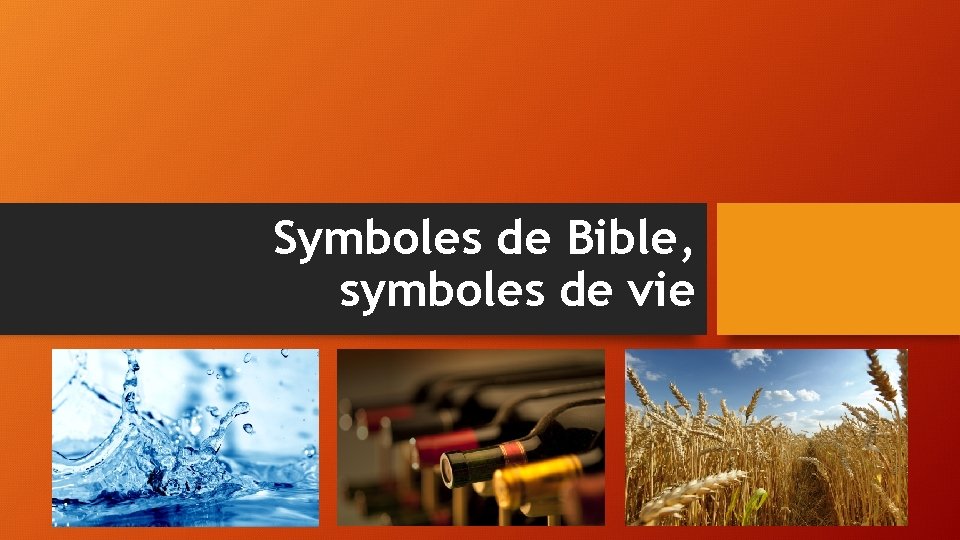 Symboles de Bible, symboles de vie 