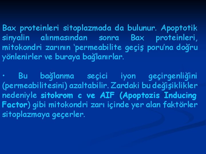 Bax proteinleri sitoplazmada da bulunur. Apoptotik sinyalin alınmasından sonra Bax proteinleri, mitokondri zarının ‘permeabilite