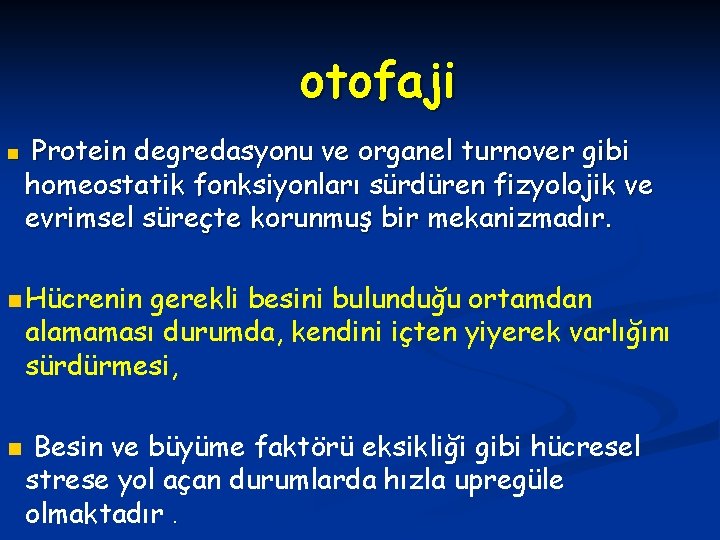 otofaji n Protein degredasyonu ve organel turnover gibi homeostatik fonksiyonları sürdüren fizyolojik ve evrimsel