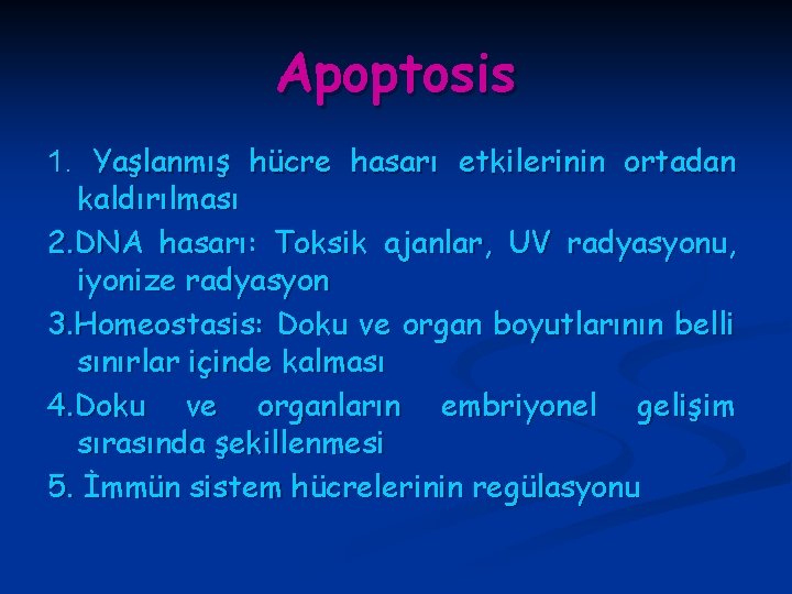 Apoptosis 1. Yaşlanmış hücre hasarı etkilerinin ortadan kaldırılması 2. DNA hasarı: Toksik ajanlar, UV