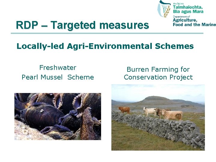 RDP – Targeted measures Locally-led Agri-Environmental Schemes Freshwater Pearl Mussel Scheme Burren Farming for