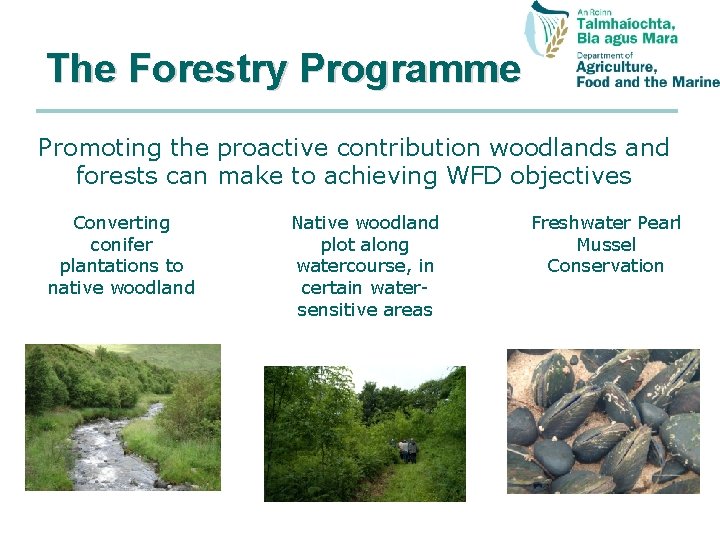 The Forestry Programme Promoting the proactive contribution woodlands and forests can make to achieving