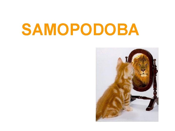 SAMOPODOBA 