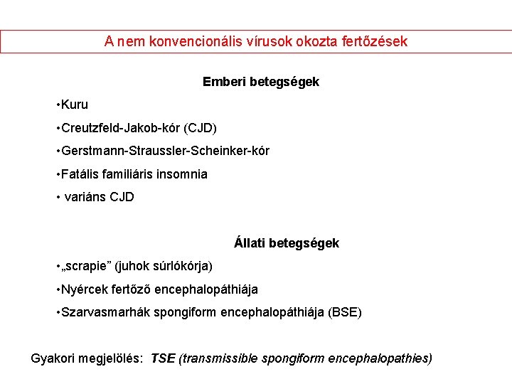 A nem konvencionális vírusok okozta fertőzések Emberi betegségek • Kuru • Creutzfeld-Jakob-kór (CJD) •