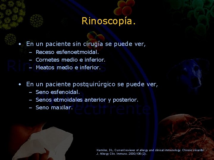 Rinoscopía. • En un paciente sin cirugía se puede ver, – Receso esfenoetmoidal. –