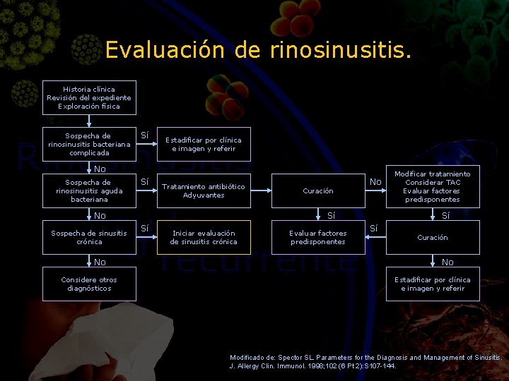 Evaluación de rinosinusitis. Historia clínica Revisión del expediente Exploración física Sospecha de rinosinusitis bacteriana