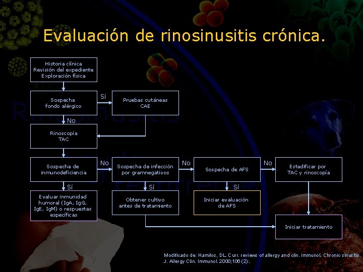Evaluación de rinosinusitis crónica. Historia clínica Revisión del expediente Exploración física Sospecha fondo alérgico