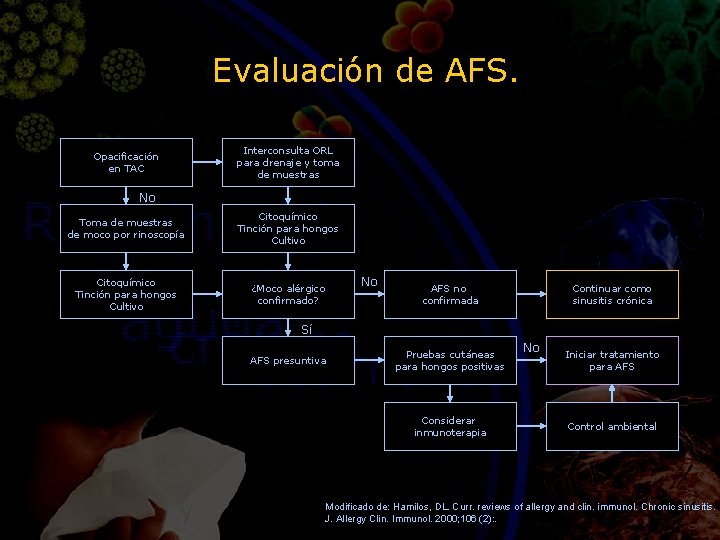 Evaluación de AFS. Opacificación en TAC Interconsulta ORL para drenaje y toma de muestras