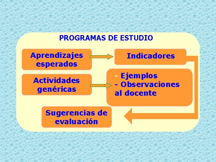 PROGRAMAS DE ESTUDIO Aprendizajes esperados Actividades genéricas Sugerencias de evaluación Indicadores - Ejemplos -