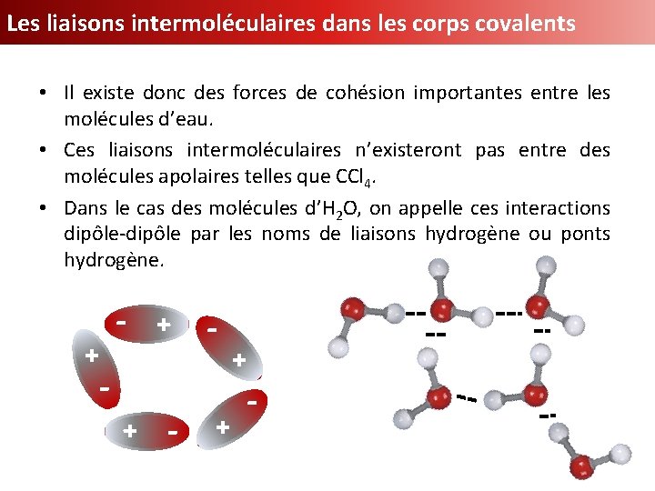 Les liaisons intermoléculaires dans les corps covalents + - - + • Il existe
