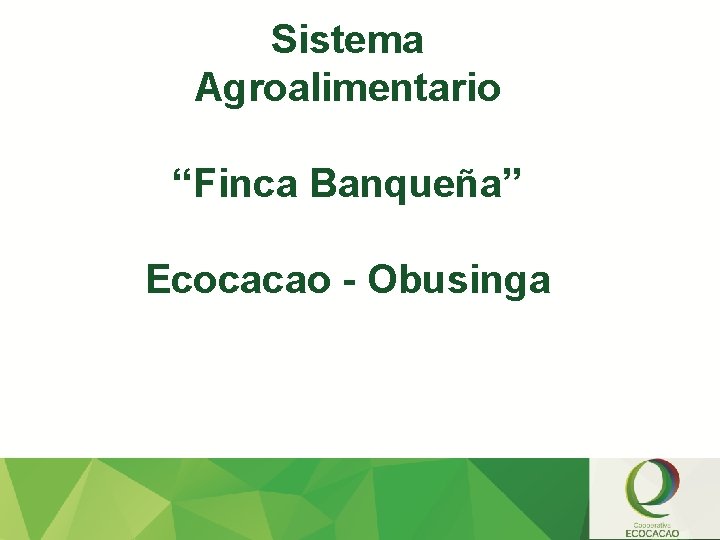 Sistema Agroalimentario “Finca Banqueña” Ecocacao - Obusinga 