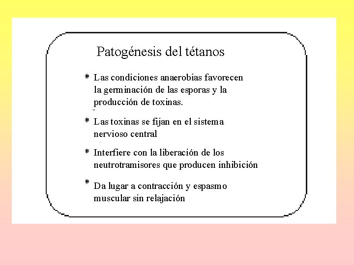 Patogénesis del tétanos Las condiciones anaerobias favorecen la germinación de las esporas y la Patogénesis del tétanos Las condiciones anaerobias favorecen la germinación de las esporas y la