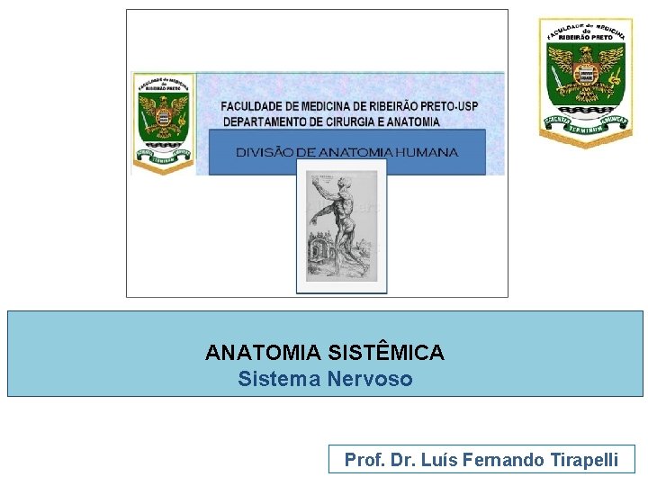 ANATOMIA SISTÊMICA Sistema Nervoso Prof. Dr. Luís Fernando Tirapelli 