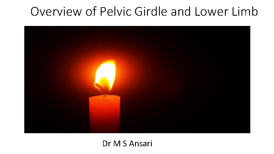 Overview of Pelvic Girdle and Lower Limb Dr M S Ansari 