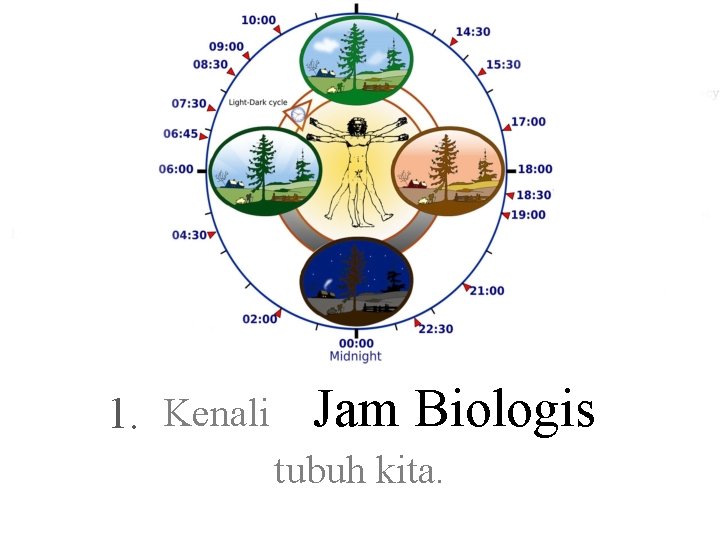 1. Kenali Jam Biologis tubuh kita. 
