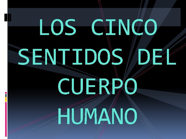 LOS CINCO SENTIDOS DEL CUERPO HUMANO 