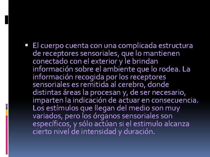  El cuerpo cuenta con una complicada estructura de receptores sensoriales, que lo mantienen