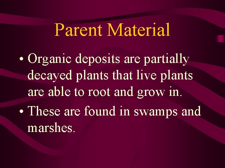 Parent Material • Organic deposits are partially decayed plants that live plants are able