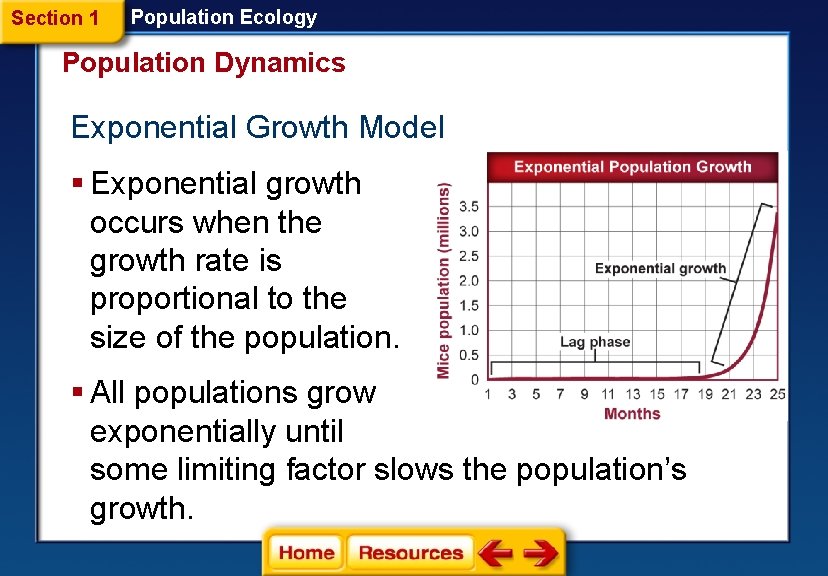 Section 1 Population Ecology Population Dynamics Exponential Growth Model § Exponential growth occurs when