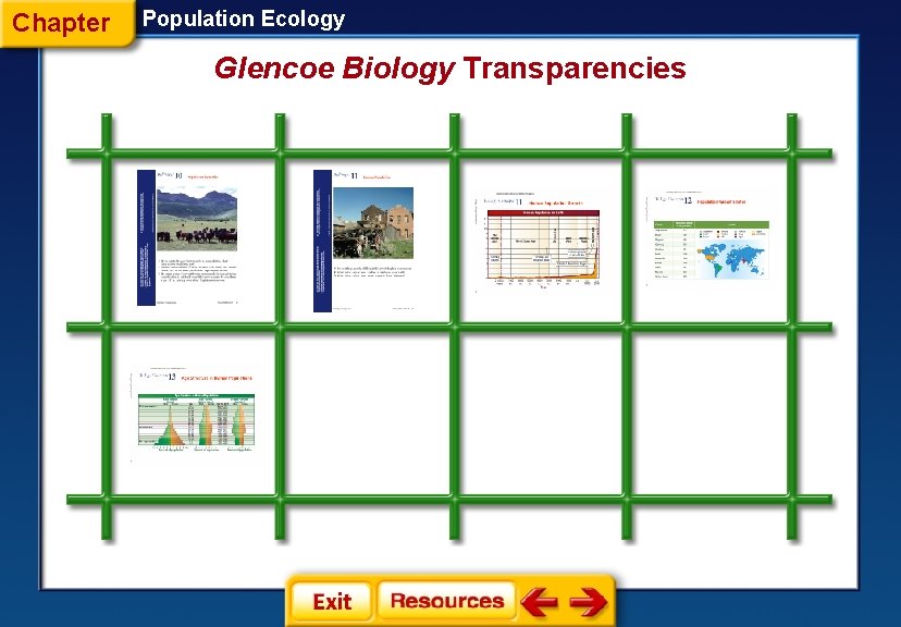 Chapter Population Ecology Glencoe Biology Transparencies 