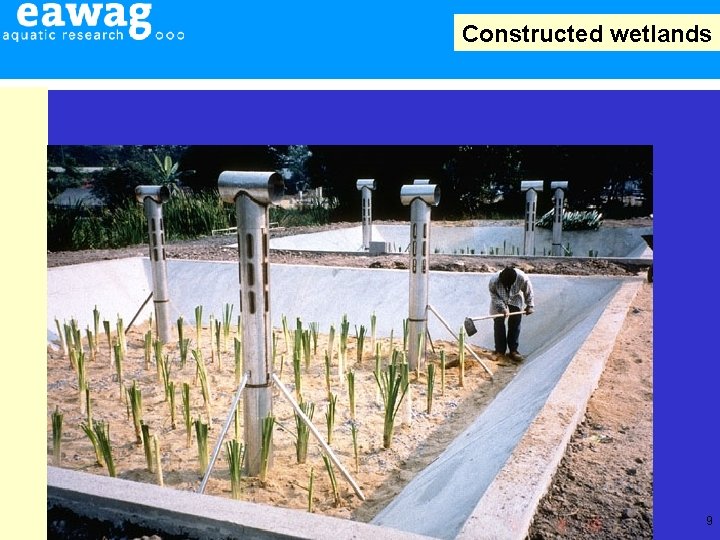Constructed wetlands 9 