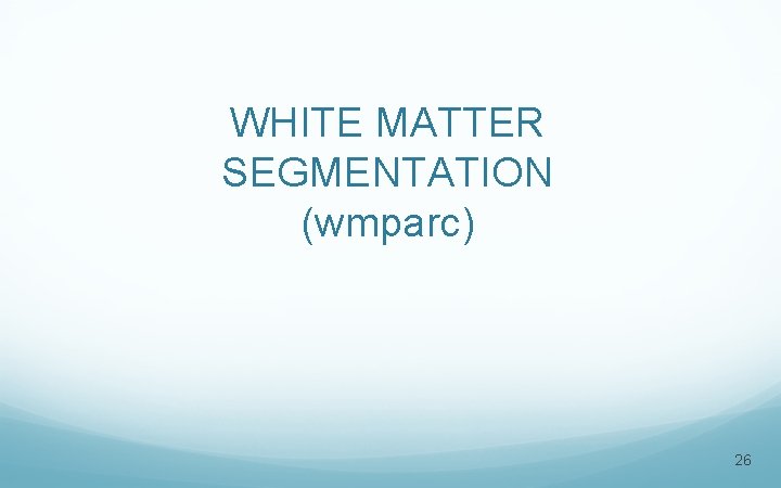 WHITE MATTER SEGMENTATION (wmparc) 26 