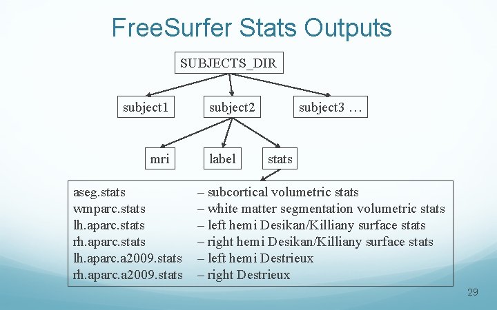 Free. Surfer Stats Outputs SUBJECTS_DIR subject 1 mri aseg. stats wmparc. stats lh. aparc.