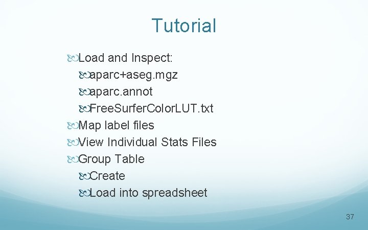 Tutorial Load and Inspect: aparc+aseg. mgz aparc. annot Free. Surfer. Color. LUT. txt Map