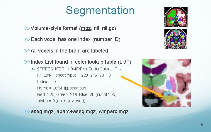 Segmentation Volume-style format (mgz, nii. gz) Each voxel has one index (number ID) All