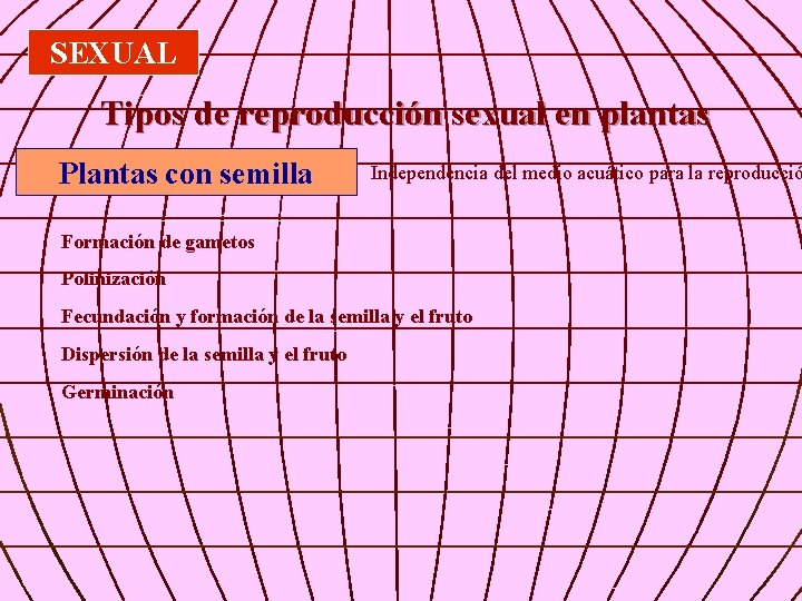 SEXUAL Tipos de reproducción sexual en plantas Plantas con semilla Independencia del medio acuático