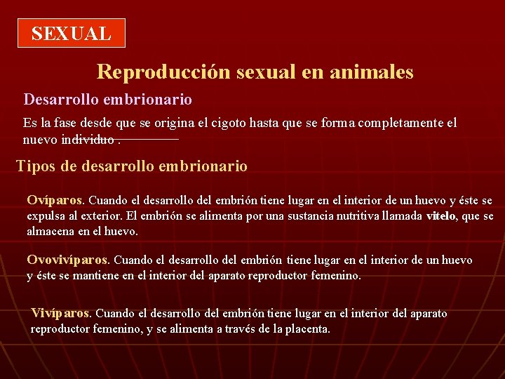 SEXUAL Reproducción sexual en animales Desarrollo embrionario Es la fase desde que se origina