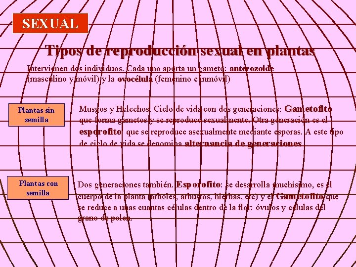 SEXUAL Tipos de reproducción sexual en plantas Intervienen dos individuos. Cada uno aporta un