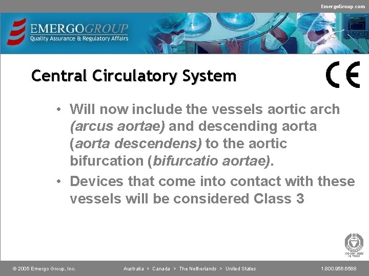 Emergo. Group. com Central Circulatory System • Will now include the vessels aortic arch