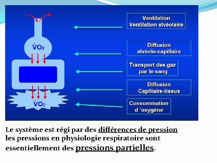 Le système est régi par des différences de pression les pressions en physiologie respiratoire Le système est régi par des différences de pression les pressions en physiologie respiratoire