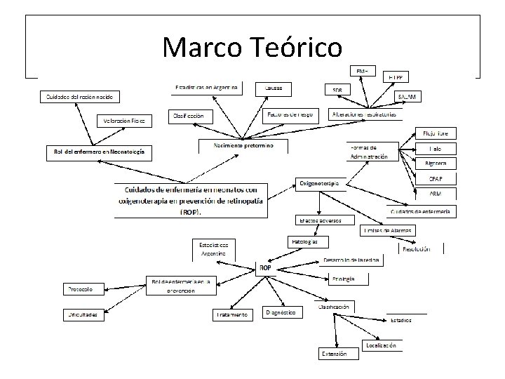 Marco Teórico 