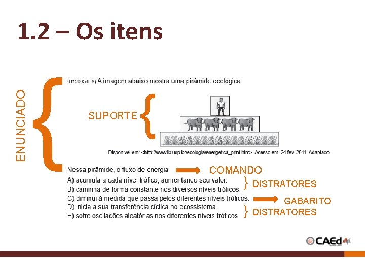 ENUNCIADO 1. 2 – Os itens { SUPORTE { COMANDO } DISTRATORES } GABARITO