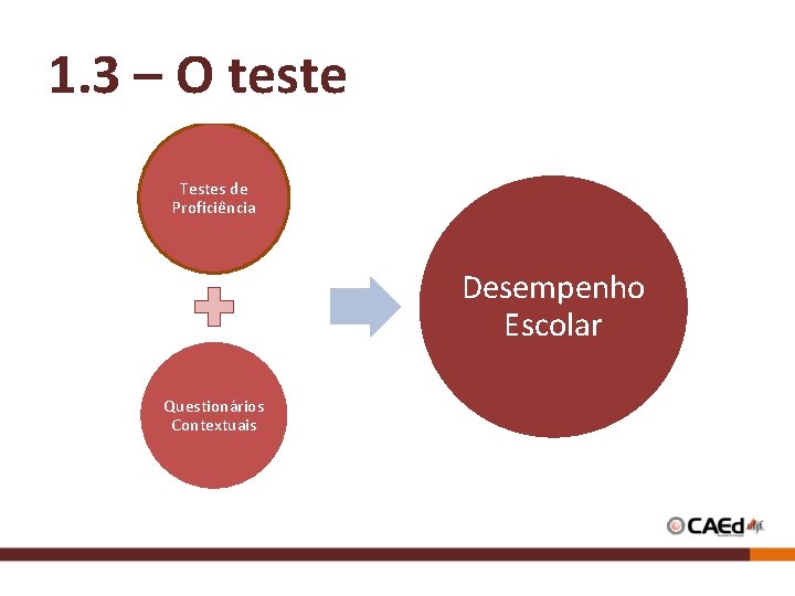 1. 3 – O teste Testes de Proficiência Desempenho Escolar Questionários Contextuais 