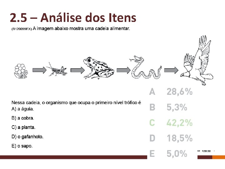 2. 5 – Análise dos Itens 