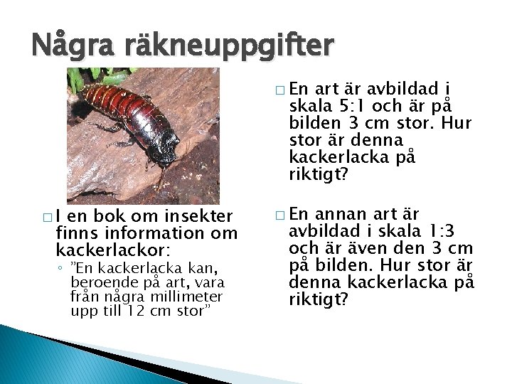 Några räkneuppgifter � En art är avbildad i skala 5: 1 och är på