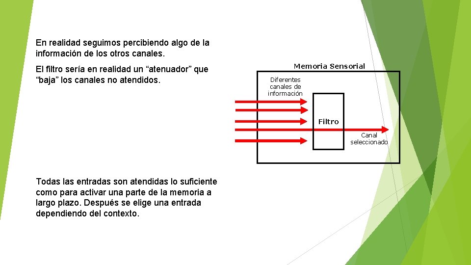 En realidad seguimos percibiendo algo de la información de los otros canales. El filtro