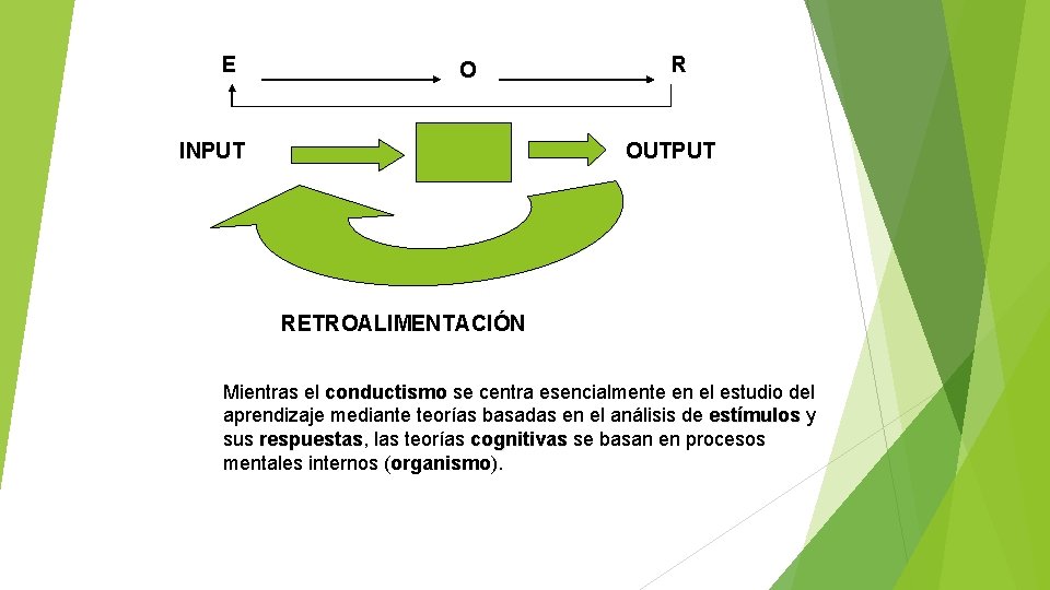 E O INPUT R OUTPUT RETROALIMENTACIÓN Mientras el conductismo se centra esencialmente en el