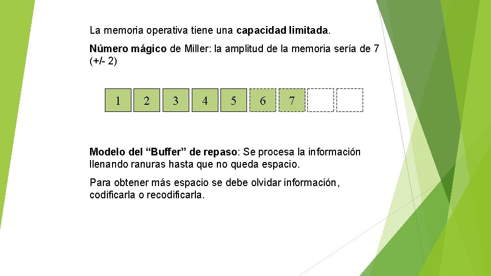 La memoria operativa tiene una capacidad limitada. Número mágico de Miller: la amplitud de