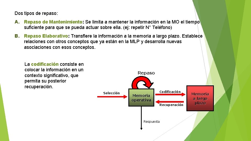 Dos tipos de repaso: A. Repaso de Mantenimiento: Se limita a mantener la información