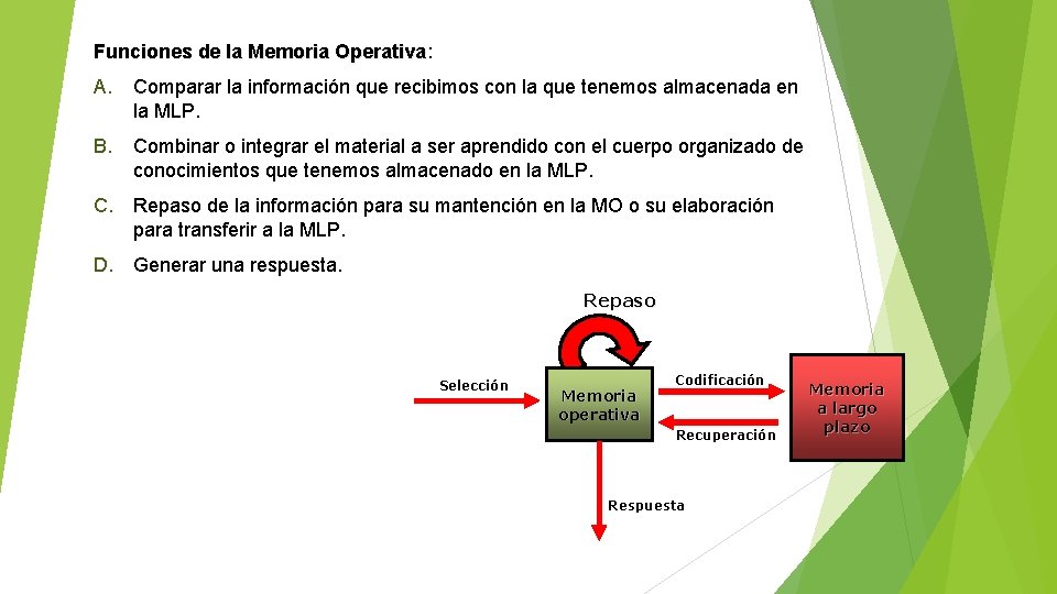 Funciones de la Memoria Operativa: Operativa A. Comparar la información que recibimos con la