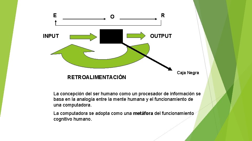 E O INPUT R OUTPUT RETROALIMENTACIÓN Caja Negra La concepción del ser humano como