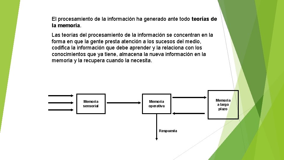 El procesamiento de la información ha generado ante todo teorías de la memoria Las