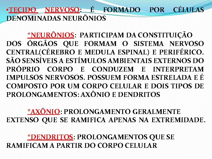  • TECIDO NERVOSO: É FORMADO DENOMINADAS NEURÔNIOS POR CÉLULAS *NEURÔNIOS: PARTICIPAM DA CONSTITUIÇÃO